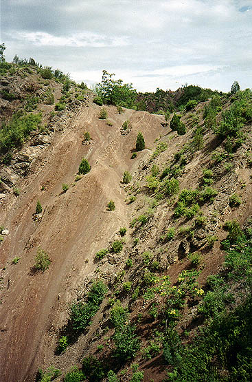 hillside near Simatai, with major replanting underway